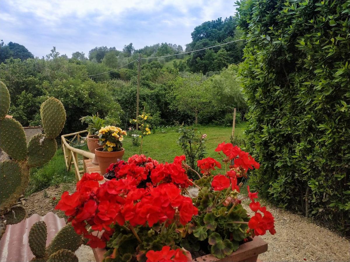 Locanda Prato D'Era Volterra Bagian luar foto